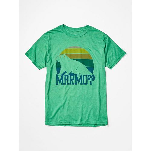 Marmot Clothes Green NZ - Dawning T-Shirts Mens NZ3972608